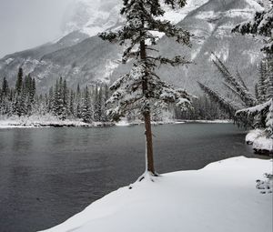 Preview wallpaper river, snow, trees, mountain, landscape