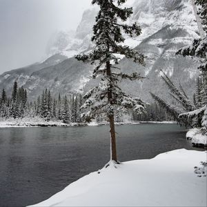 Preview wallpaper river, snow, trees, mountain, landscape