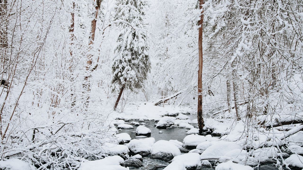 Wallpaper river, snow, trees, winter, nature, landscape