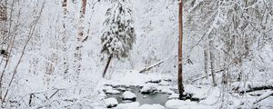 Preview wallpaper river, snow, trees, winter, nature, landscape