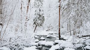 Preview wallpaper river, snow, trees, winter, nature, landscape