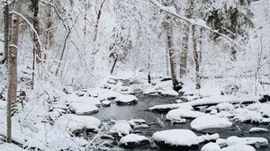Preview wallpaper river, snow, trees, stones, winter, nature