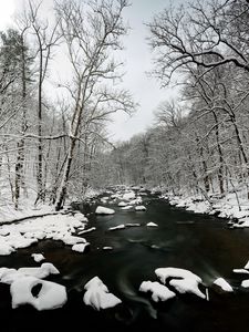Preview wallpaper river, snow, trees, water, winter