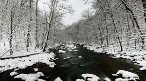 Preview wallpaper river, snow, trees, water, winter