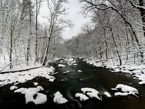 Preview wallpaper river, snow, trees, water, winter