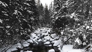 Preview wallpaper river, snow, trees, stones, water, winter
