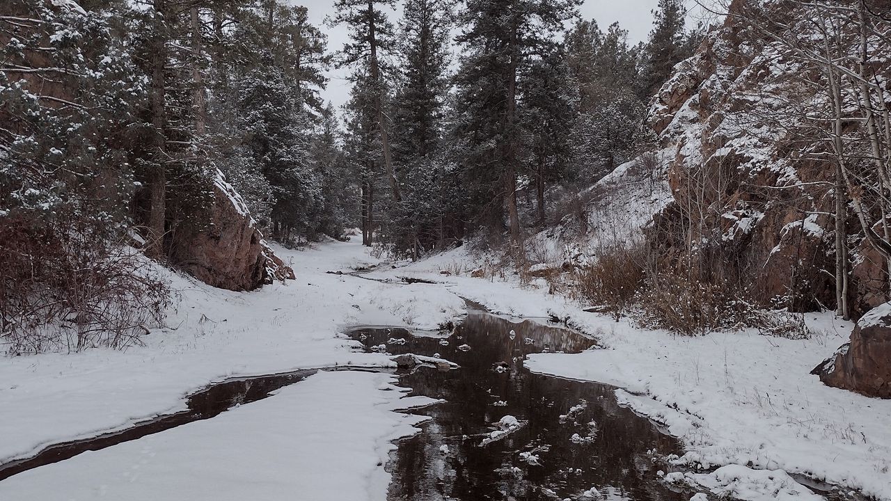 Wallpaper river, snow, trees, winter