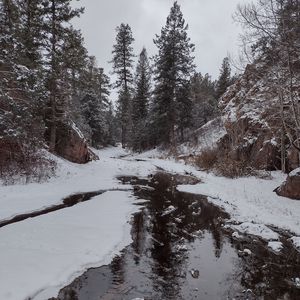 Preview wallpaper river, snow, trees, winter