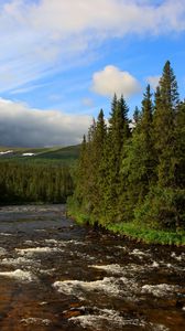 Preview wallpaper river, spruce, trees, forest, clouds