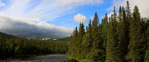 Preview wallpaper river, spruce, trees, forest, clouds