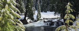 Preview wallpaper river, spruces, snow, winter