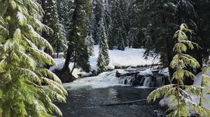 Preview wallpaper river, spruces, snow, winter