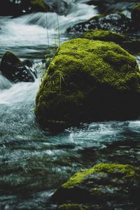 Preview wallpaper river, stone, moss, water, stream