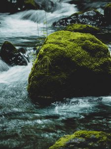 Preview wallpaper river, stone, moss, water, stream