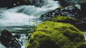 Preview wallpaper river, stone, moss, water, stream