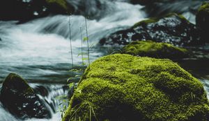 Preview wallpaper river, stone, moss, water, stream