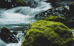 Preview wallpaper river, stone, moss, water, stream