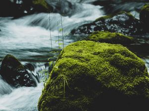 Preview wallpaper river, stone, moss, water, stream