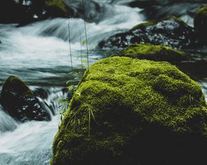 Preview wallpaper river, stone, moss, water, stream