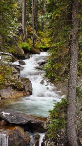 Preview wallpaper river, stone, water, trees