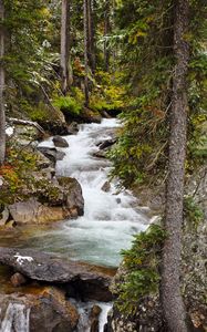 Preview wallpaper river, stone, water, trees