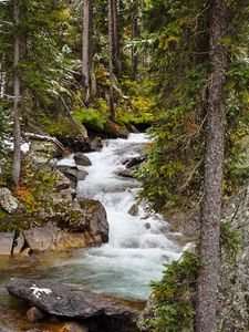 Preview wallpaper river, stone, water, trees