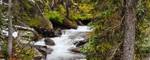 Preview wallpaper river, stone, water, trees