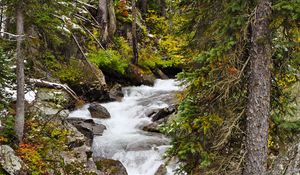 Preview wallpaper river, stone, water, trees