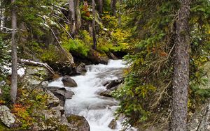 Preview wallpaper river, stone, water, trees