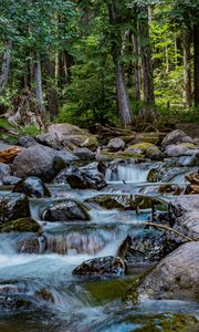 Preview wallpaper river, stones, cascade, trees, nature