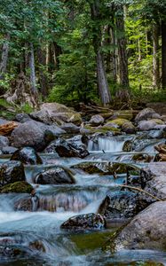 Preview wallpaper river, stones, cascade, trees, nature