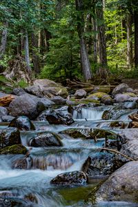 Preview wallpaper river, stones, cascade, trees, nature