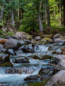 Preview wallpaper river, stones, cascade, trees, nature