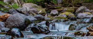 Preview wallpaper river, stones, cascade, trees, nature