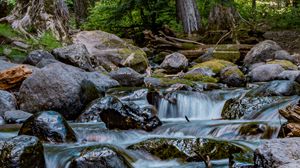 Preview wallpaper river, stones, cascade, trees, nature