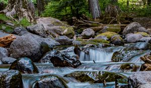 Preview wallpaper river, stones, cascade, trees, nature