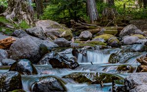 Preview wallpaper river, stones, cascade, trees, nature