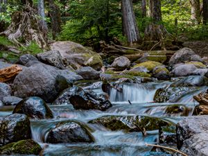 Preview wallpaper river, stones, cascade, trees, nature