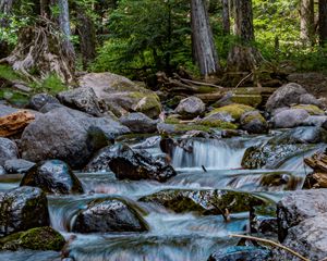 Preview wallpaper river, stones, cascade, trees, nature