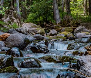 Preview wallpaper river, stones, cascade, trees, nature