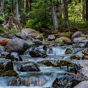 Preview wallpaper river, stones, cascade, trees, nature