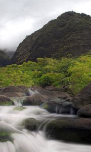 Preview wallpaper river, stones, current, mountains, palm tree