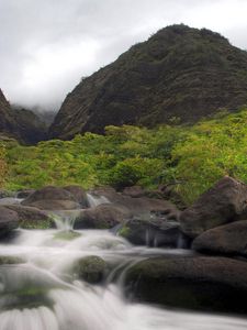 Preview wallpaper river, stones, current, mountains, palm tree