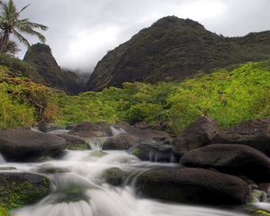 Preview wallpaper river, stones, current, mountains, palm tree