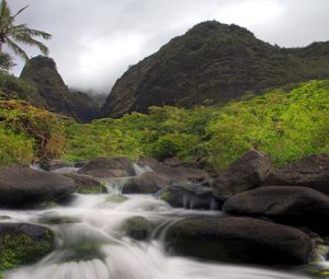 Preview wallpaper river, stones, current, mountains, palm tree