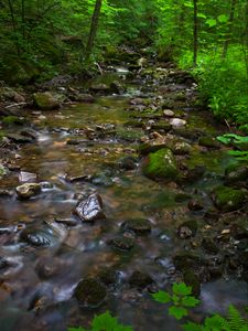 Preview wallpaper river, stones, forest, nature, bushes