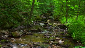 Preview wallpaper river, stones, forest, nature, bushes