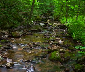 Preview wallpaper river, stones, forest, nature, bushes