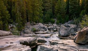 Preview wallpaper river, stones, forest, landscape, nature