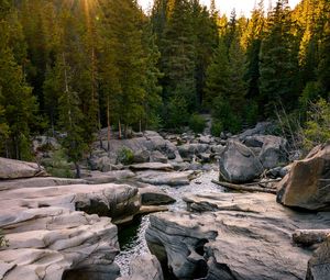 Preview wallpaper river, stones, forest, landscape, nature